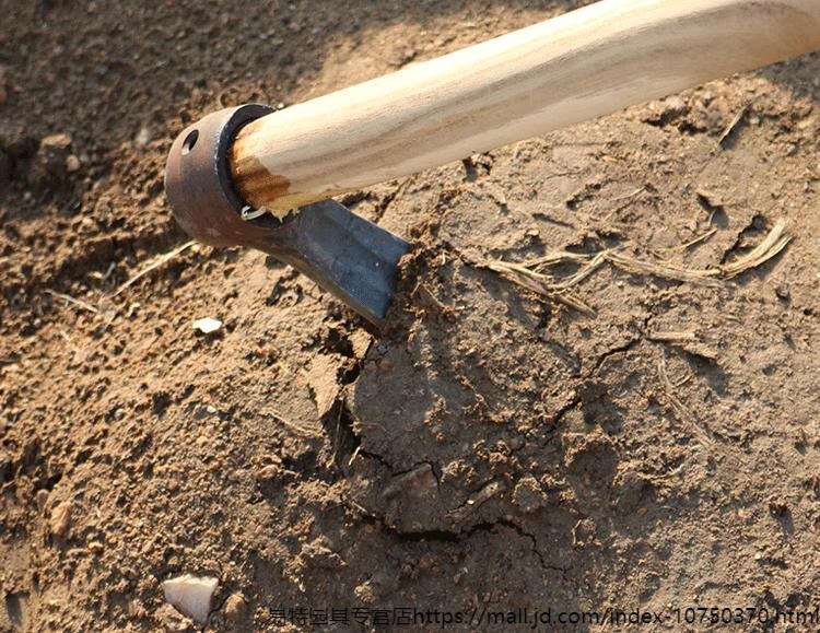 镐头 镢头 锄头 汽车轴承钢烘炉锻打农具 刨树根镢头园林园艺 小号带