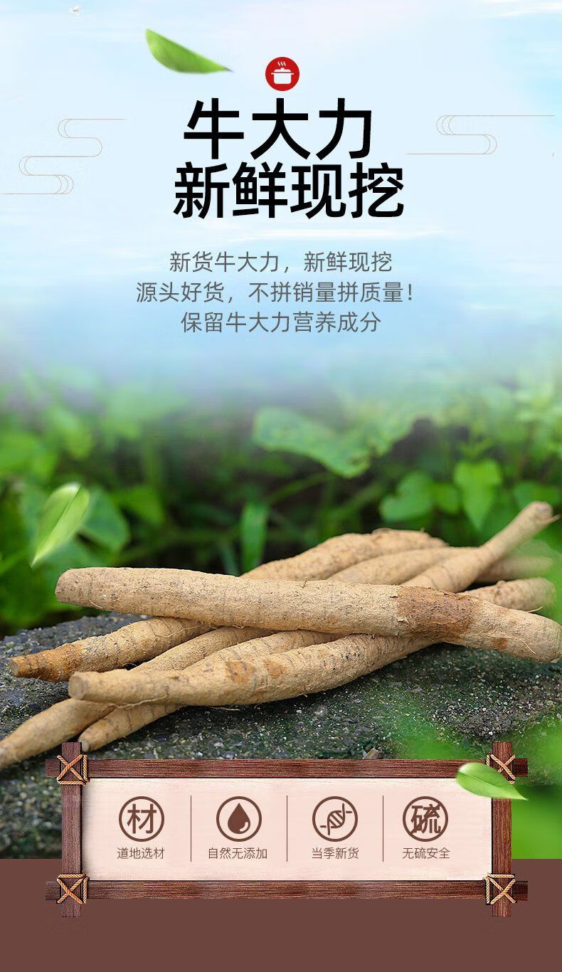 伟博牛大力牛大力野生新鲜00g金钟根山莲藕猪脚笠广东煲汤料3斤牛大力