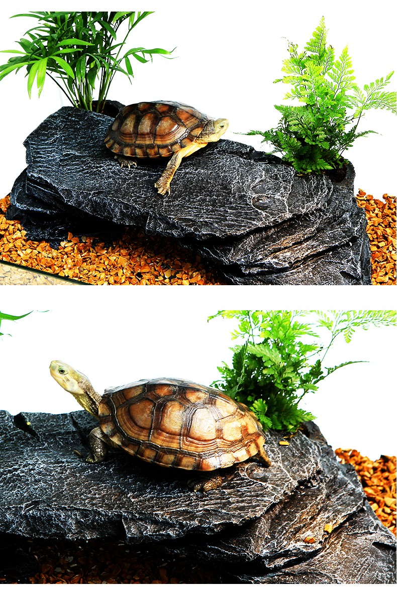 网红乌龟晒台爬台大号水龟缸装饰绿植造景爬坡晒背台躲避洞穴石头龟台