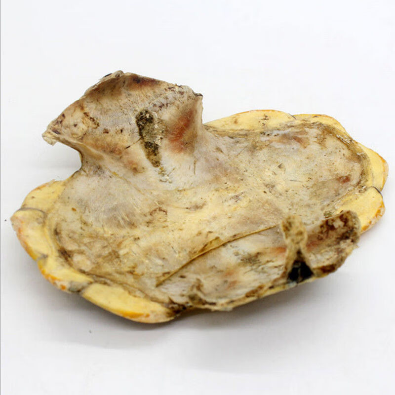 伟博龟板粉 龟甲粉 炙龟板粉制龟板粉龟板现磨粉甲鱼壳老鳖盖龟壳