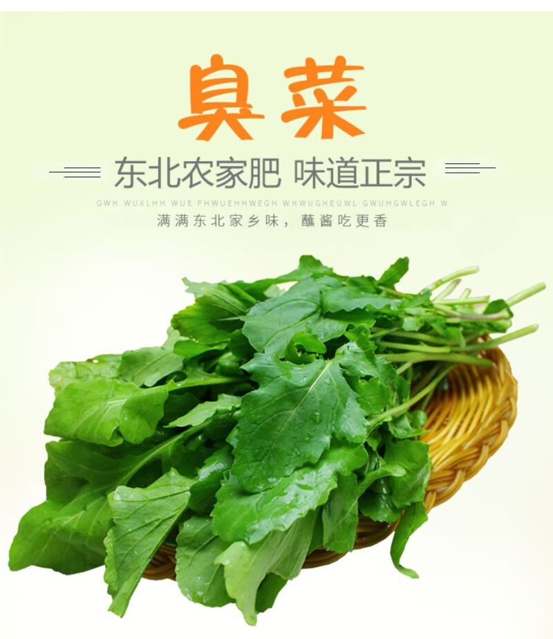 臭菜东北 新鲜 农家自种新鲜蔬菜臭菜梗东北蘸酱菜 一斤【图片 价格