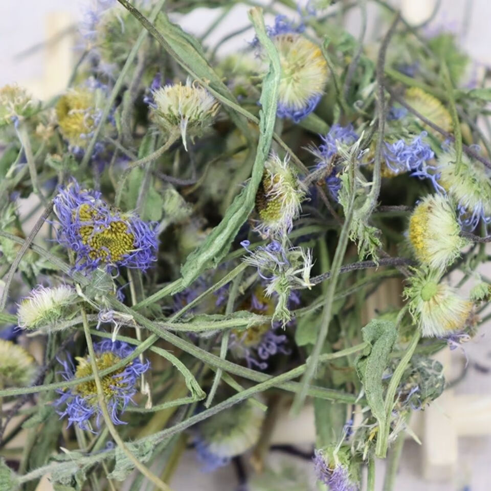 2022年新货云南自然生中药材灯盏花 灯盏花细心 灯盏花片 500克【图片