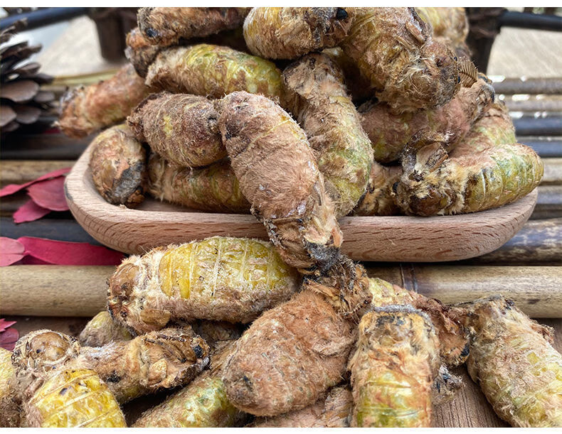 伟博雌蚕蛾鲜活女性滋补母蚕蛾活体速冻新货满籽雌蝉蛾一斤 500g