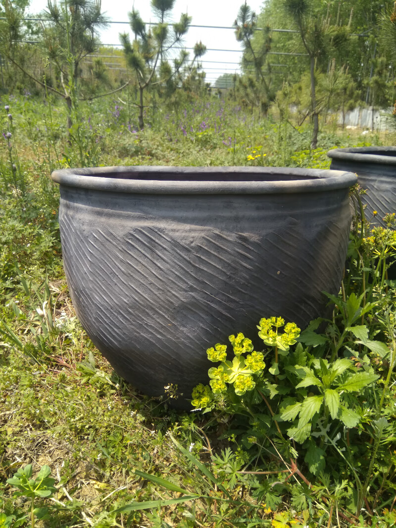 家用睡蓮盆罐水無釉養烏龜魚缸庭院荷花缸土陶造景大水缸 60口高50老