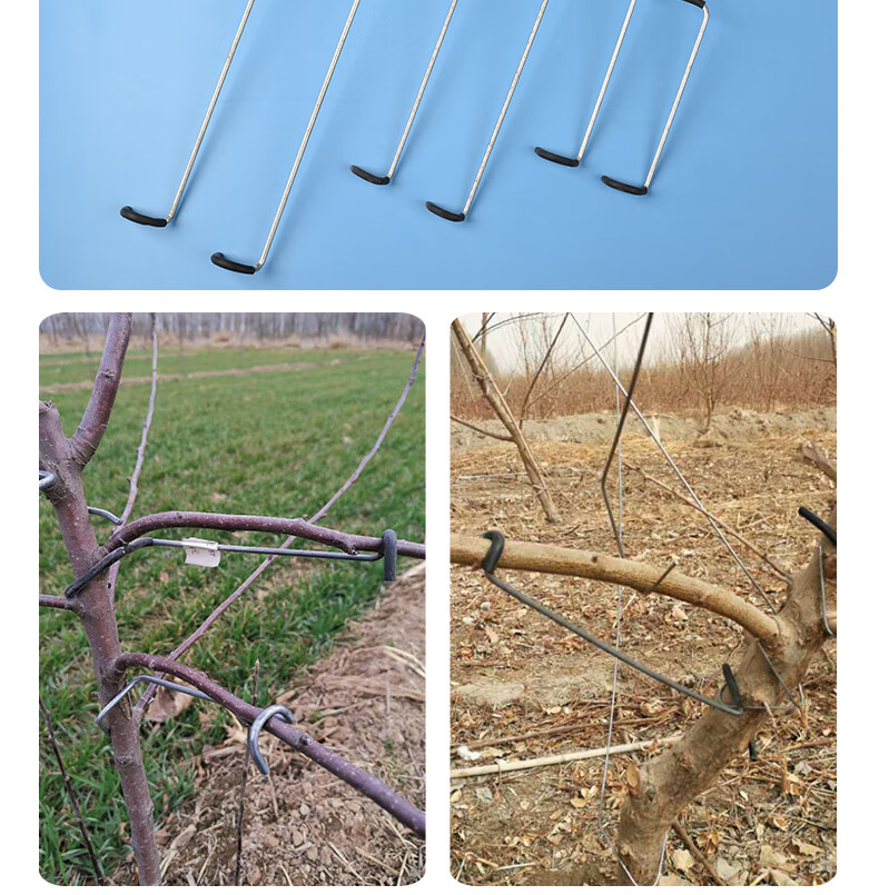 果树拉枝器开定型角器别枝器压枝神器园林工具改进型新型德助麦桑荷