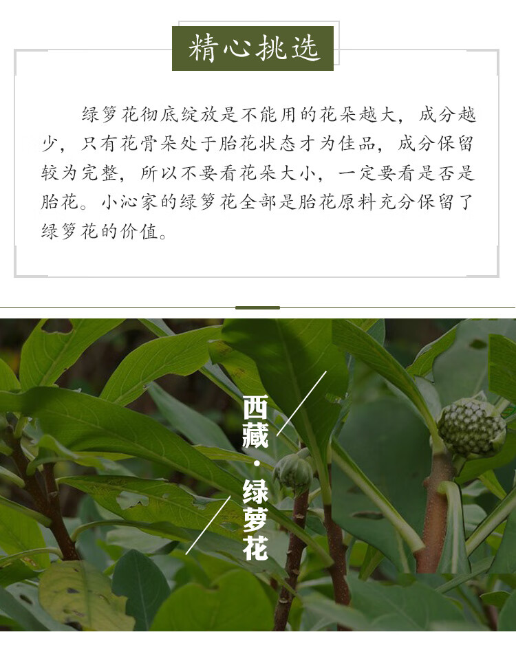 绿萝花茶养生茶西藏野生大朵绿罗花花茶野生结香花养生茶绿萝花100克