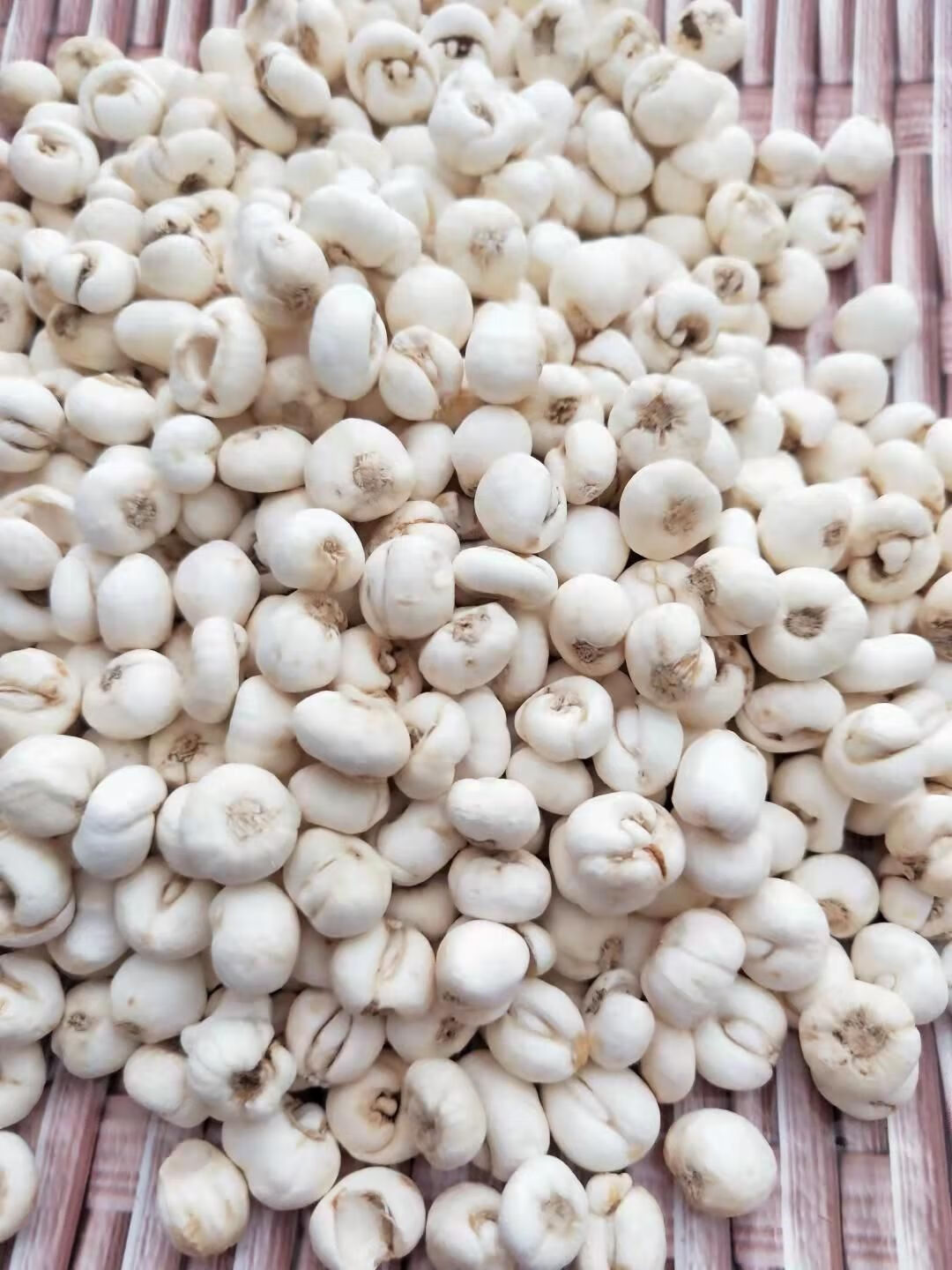 西藏贝母平贝母微苦尖贝母味苦250g西藏直发尖贝母味苦500克