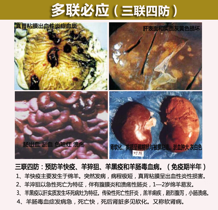 顺丰速运兽用羊疫苗羊痘三联四防传胸口疮口蹄疫小反刍链球大肠杆脓包