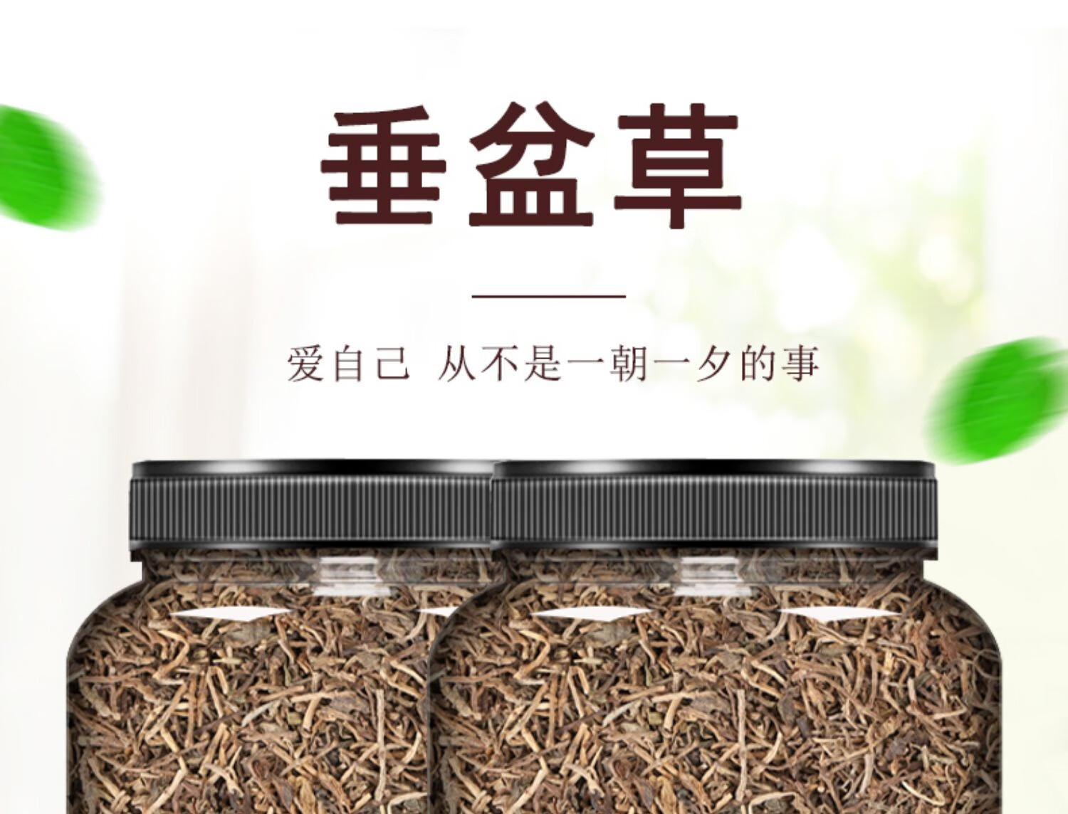 中药材 250g垂盆草中药干货 可食用药用泡茶【优选】 图片色【图片