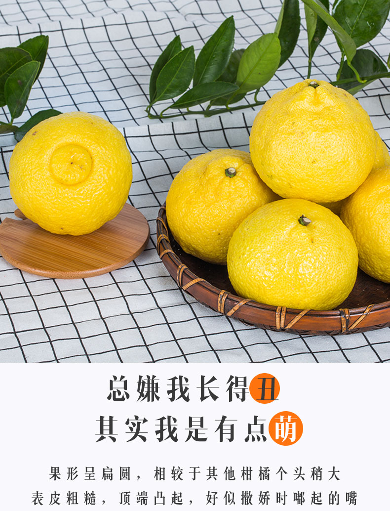 湖南怀化黄金贡柚春香金柚黄肉蜜柚玲珑小柚子10斤大果果径75mm85mm