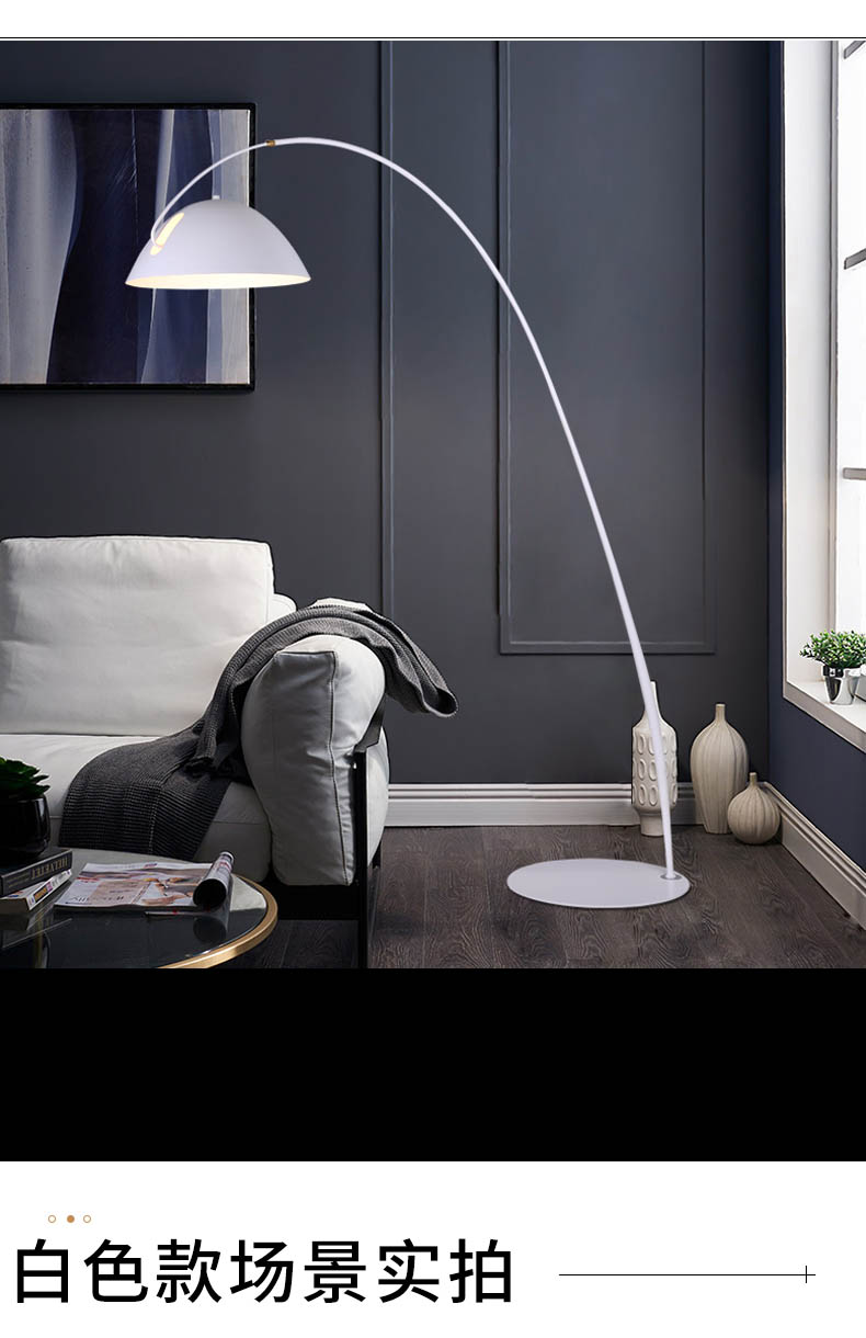 昊苍钓鱼灯落地灯客厅沙发餐厅简约现代led立式北欧ins设计感灯具黑色