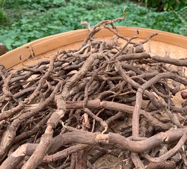 黑老虎根中药材500g广西特级野生钻骨风中草药风沙藤冷饭团钻山风