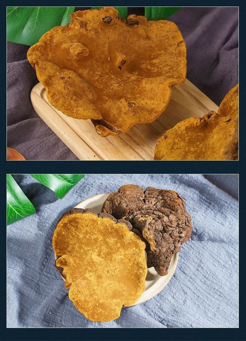 西藏桑树桑黄250克 25年整支【图片 价格 品牌 报价】-京东