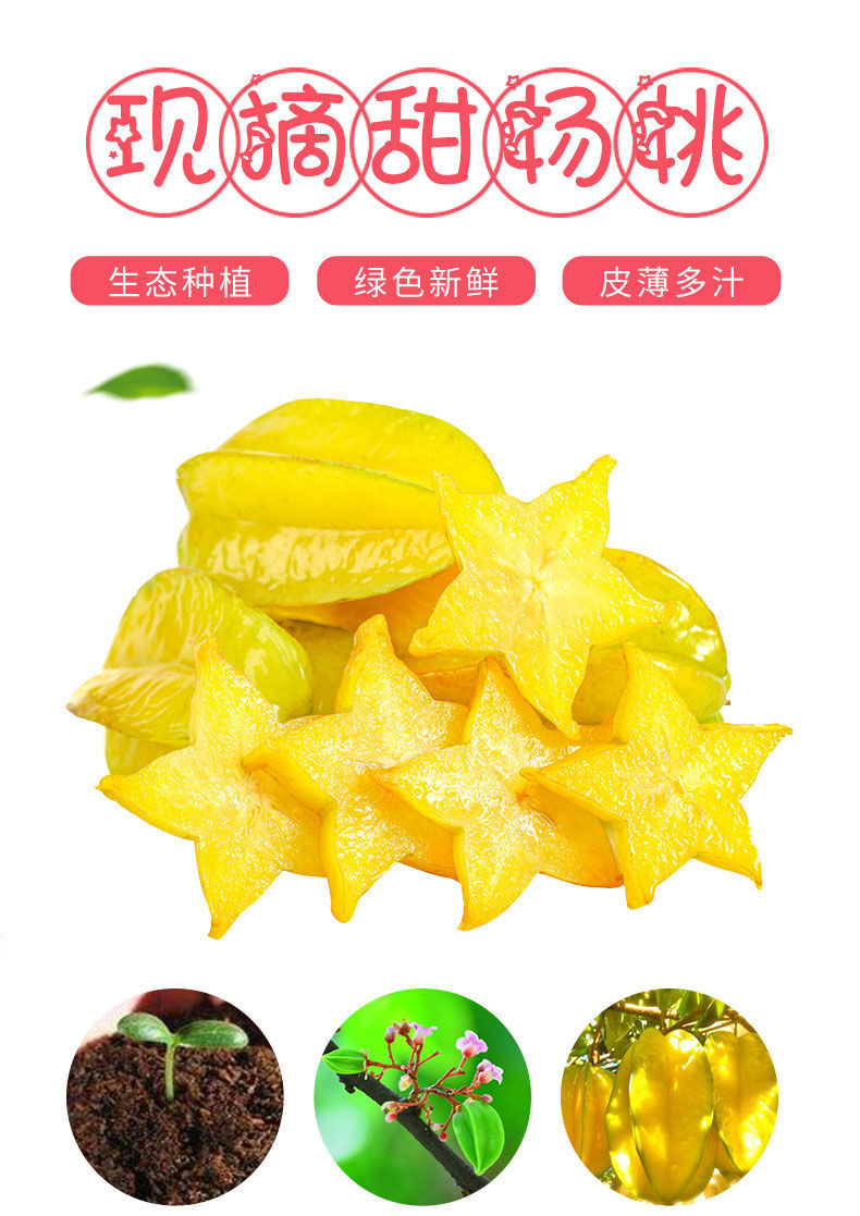 精选直发当季广东增城大杨桃新鲜清甜多汁孕妇水果热带南方水果整箱