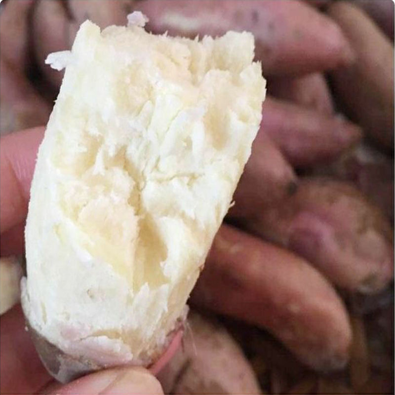 面包王番薯粉番薯白肉干面红薯地瓜 5斤爆皮王大薯【推荐款】【图片
