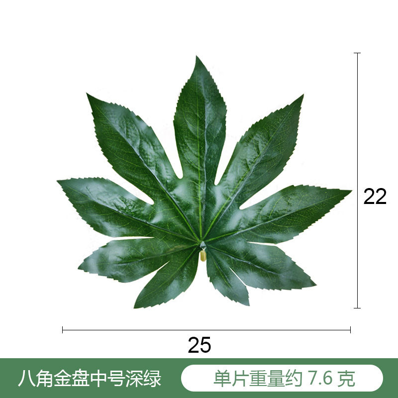中号25*21cm 八角叶浅绿10片【图片 价格 品牌 报价】-京东