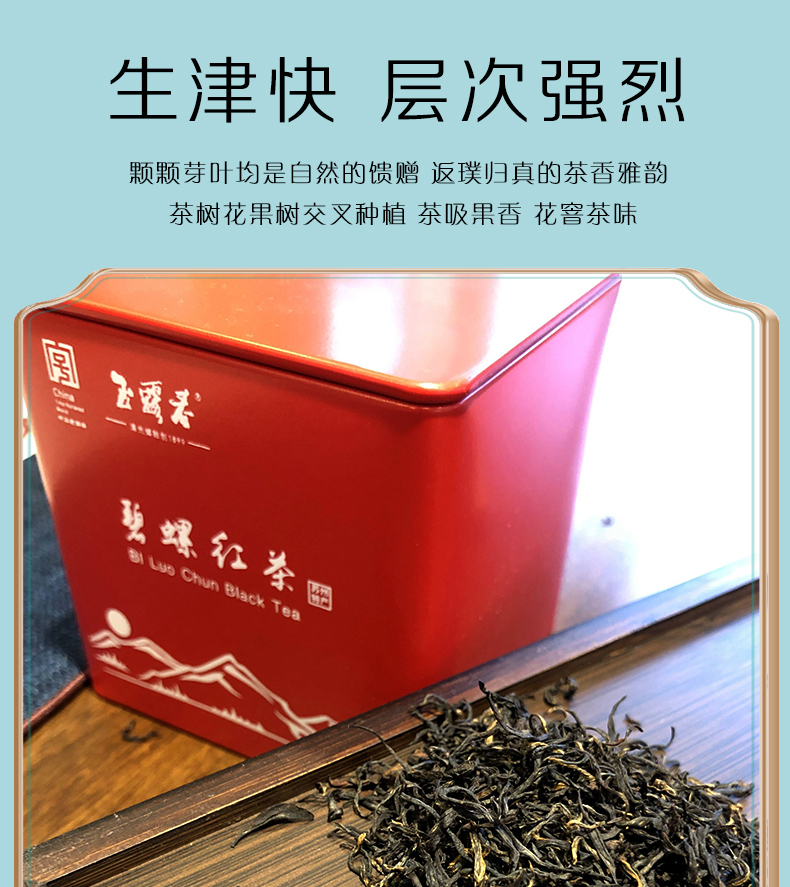 玉露春碧螺红茶工夫红茶2021年新茶叶苏州特产碧螺春花果香特级红茶