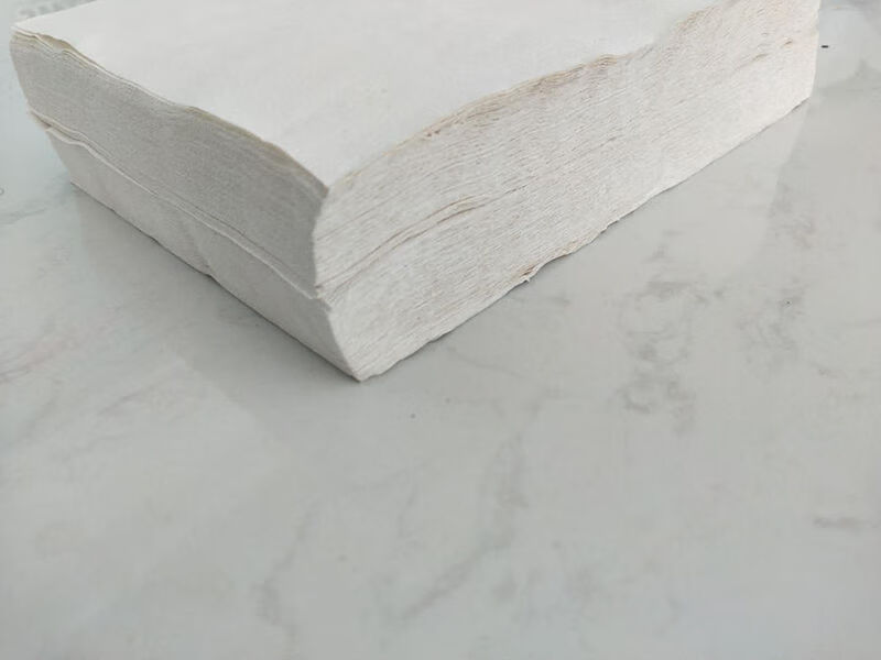 皱纹卫生纸厕纸手粗纸实惠装草纸毛纸老式纸b超纸 一包(试用装)