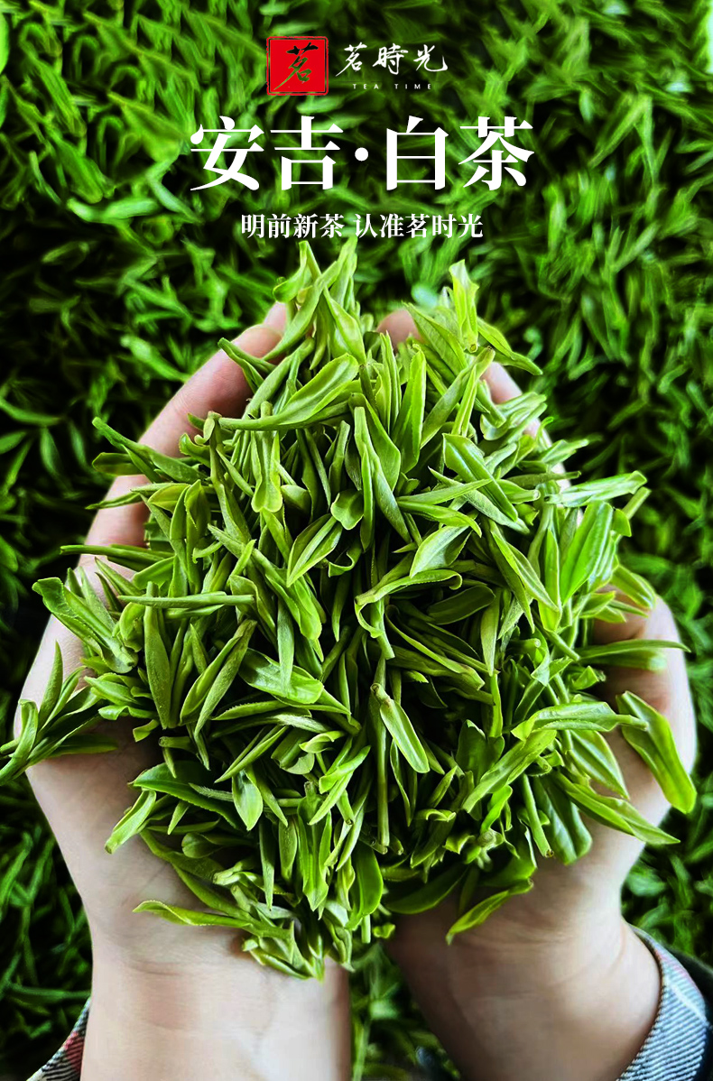 茗时光 安吉白茶特级安吉原产明前绿茶 200g【图片 价格 品牌 报价】