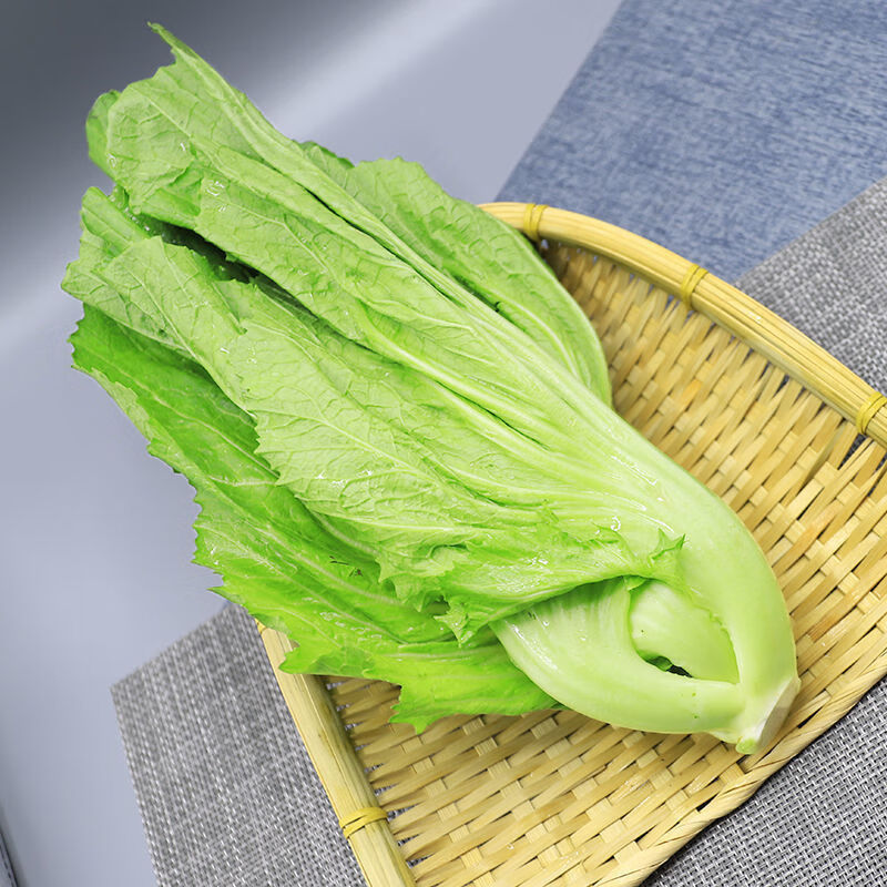 新鲜包心芥菜贵州大叶青菜苦青菜盖菜现摘整颗蔬菜腌菜泡菜酸菜4斤