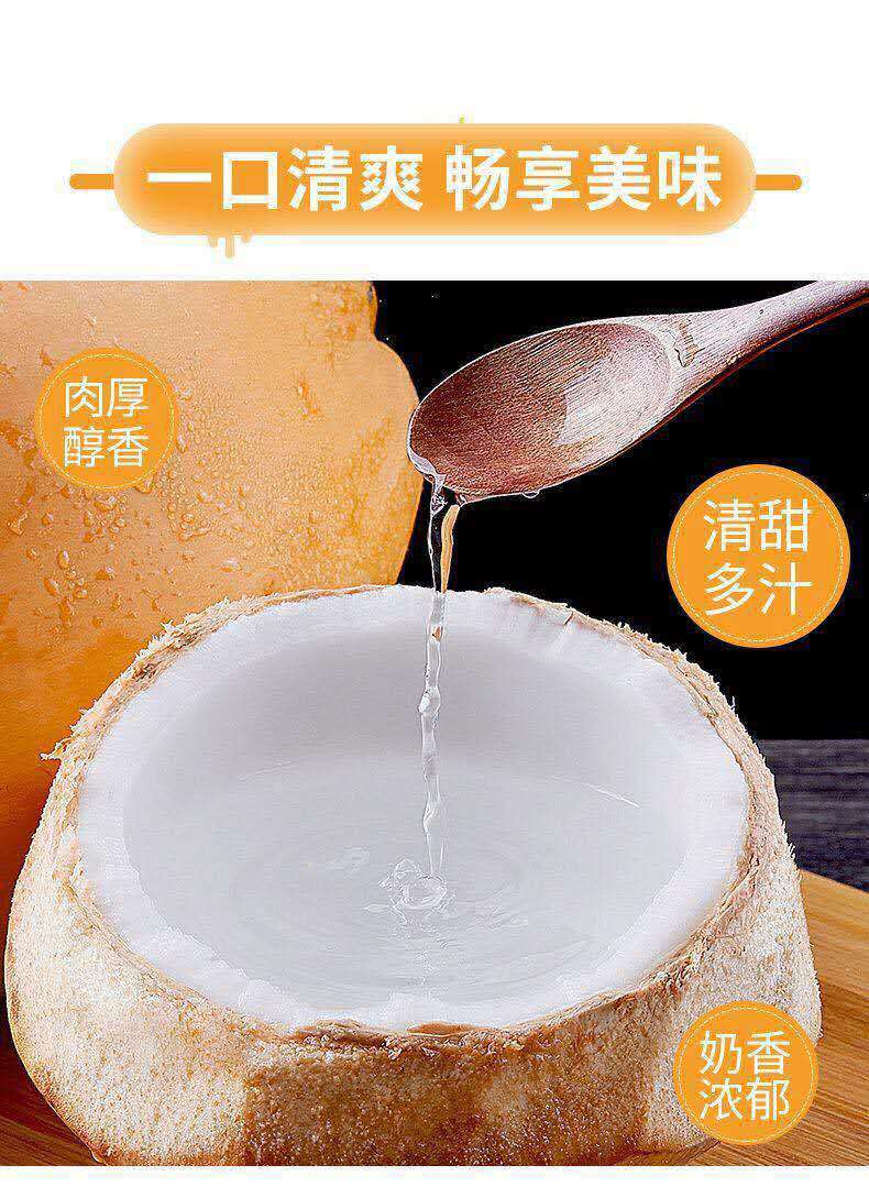 现摘现发海南金椰子三亚特产新鲜黄金红椰带皮配开椰器9个