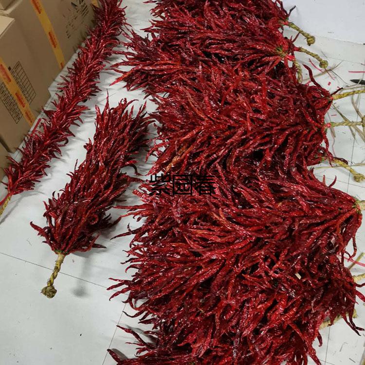 园艺荣航二荆条皱皮辣椒挂饰手工编制干辣椒串火锅店农家乐装饰红辣椒