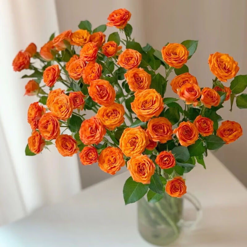 上新鲜花云南昆明基地直发多头玫瑰鲜花家用办公水养客厅卧室摆件新品