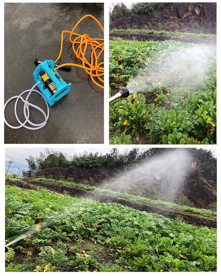 浇菜水泵充电自吸泵12v打药泵喷雾器浇花抽水机便携式打药泵 14a锂电