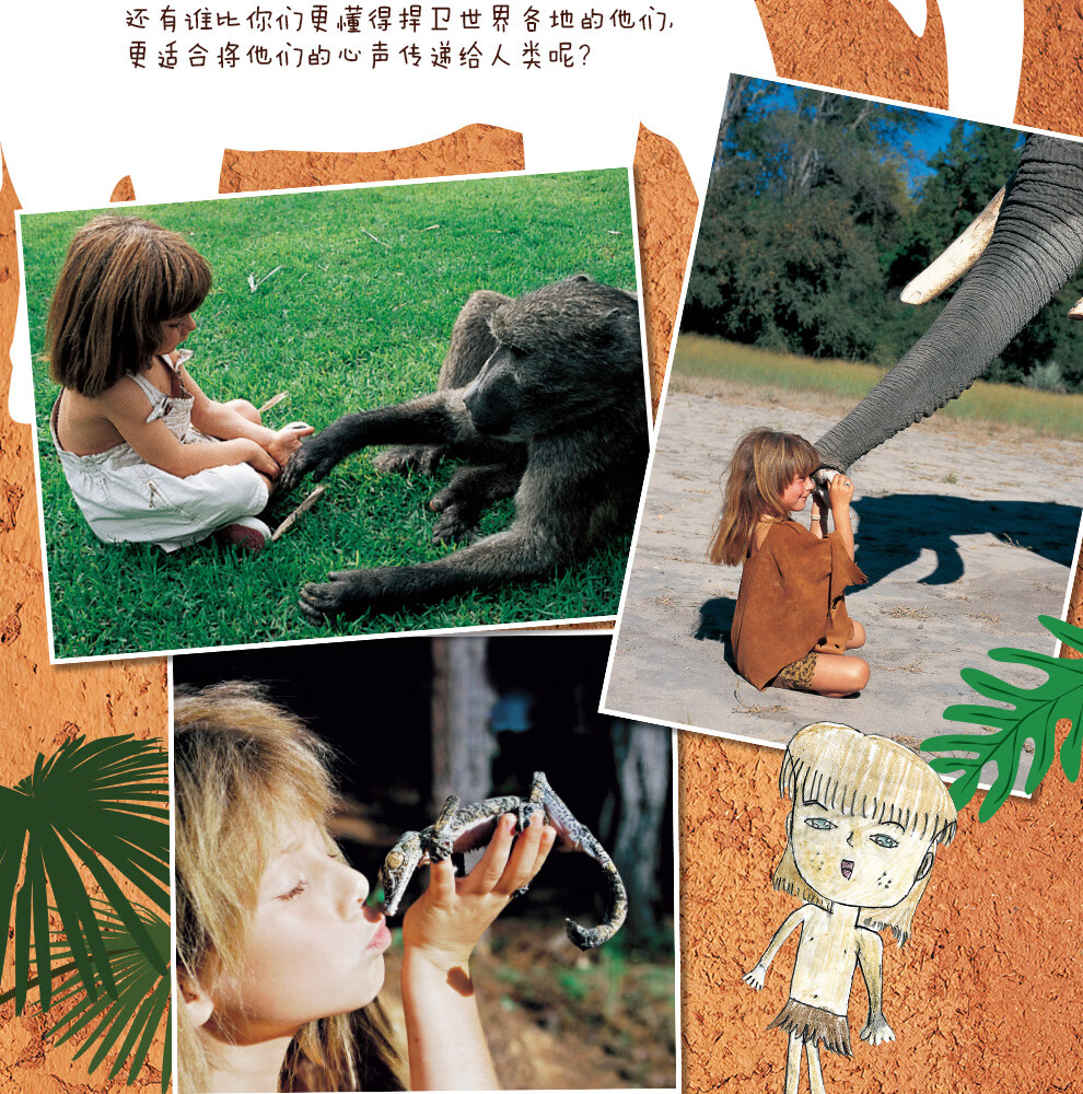 我的野生动物朋友版蒂皮德格雷人与自然儿童故事书籍小学生一二年级