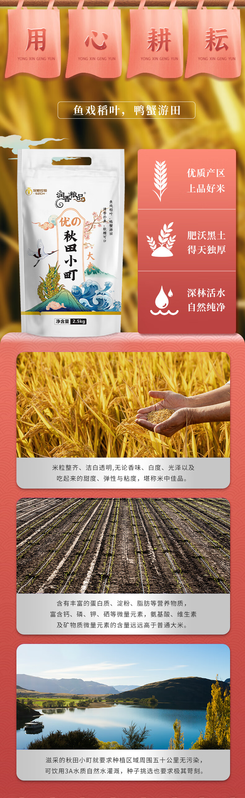 88713-深粮 秋田小町大米5斤 寿司香米东北大米 一级梗米粥米 2.5kg-详情图