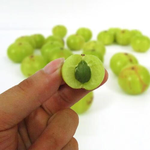 金灶新鲜油甘果牛甘果余甘果油柑果新鲜奶茶榨汁油甘