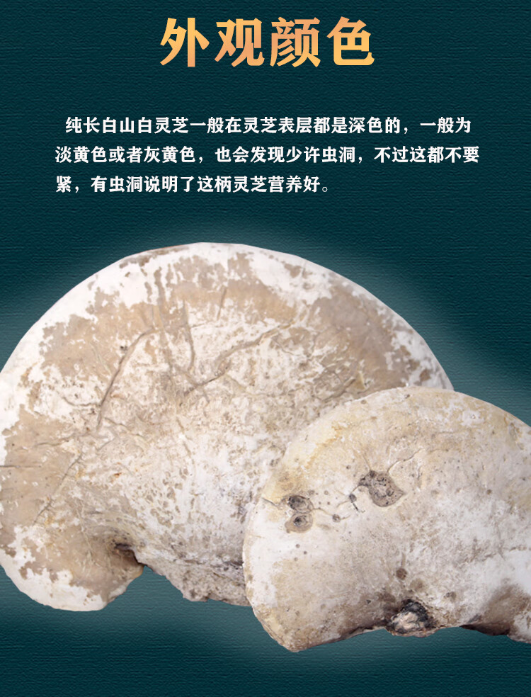 【官方旗舰】长白山大自然 白灵芝 玉芝灵芝 林芝