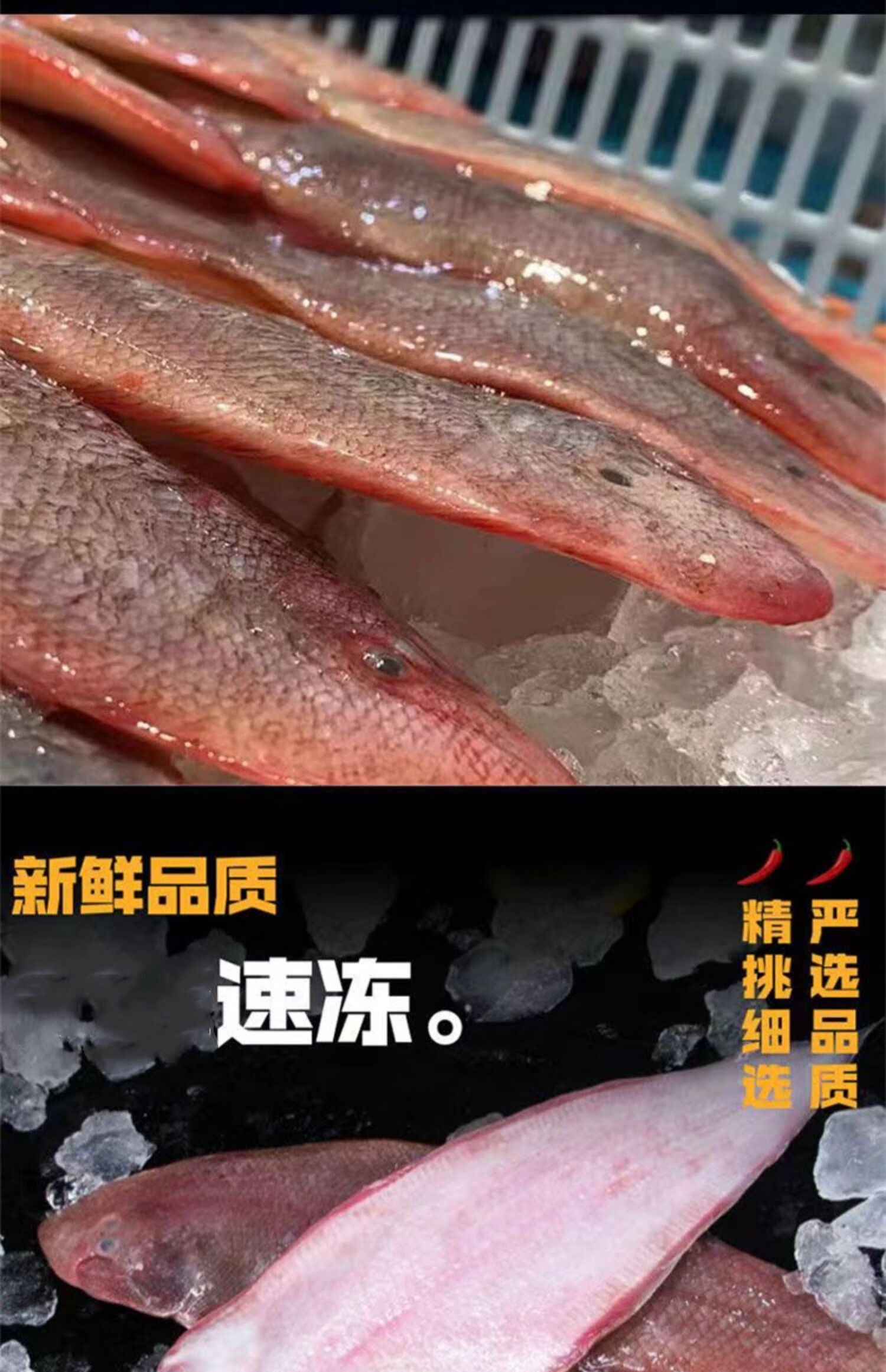 greenhow 新鲜龙利鱼冷冻海鲜水产舌头鱼踏板鱼海鱼 小号(10条左右/斤