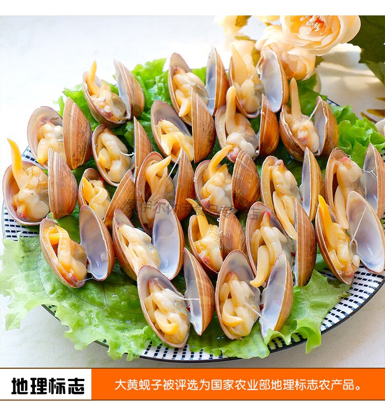 丹东特产大黄蚬子鲜活无沙生鲜贝类水产蛤蜊花甲4斤