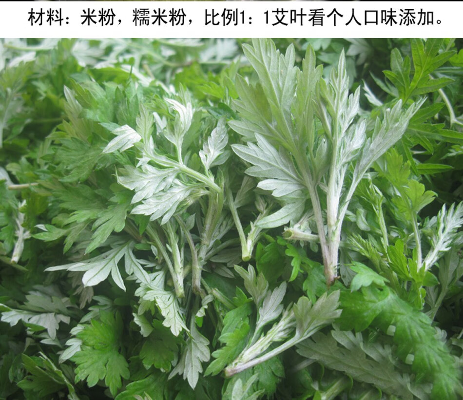新鲜艾草新鲜艾草叶嫩艾叶食用艾蒿蒿子青草团子食材健康轻食2斤