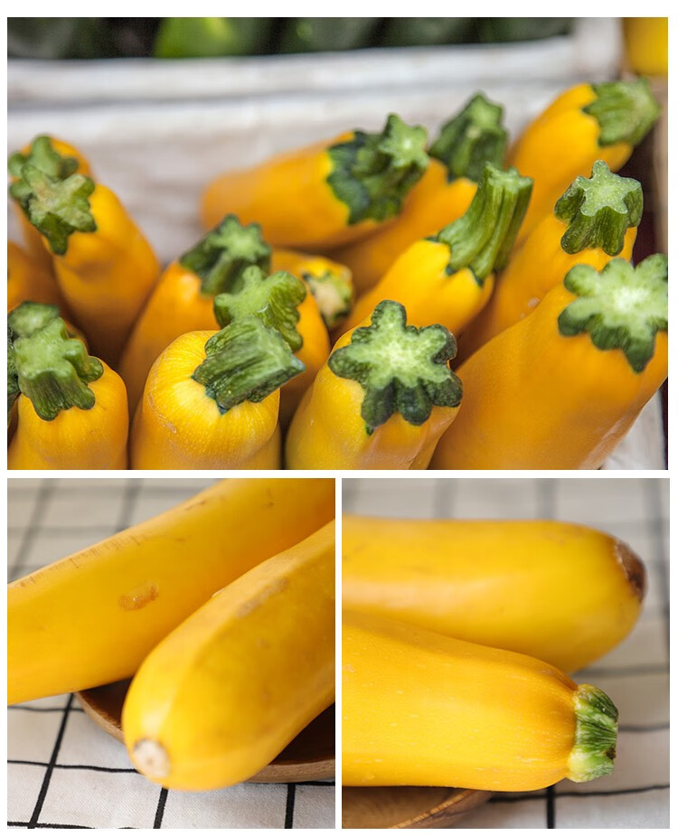 顺丰新鲜黄节瓜黄西葫芦茄瓜热炒凉拌食材500g