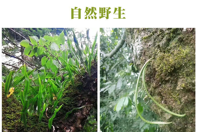 国产/进口:国产类别:组合装包装形式:散装货号:ne5zebqs商品产地:其他