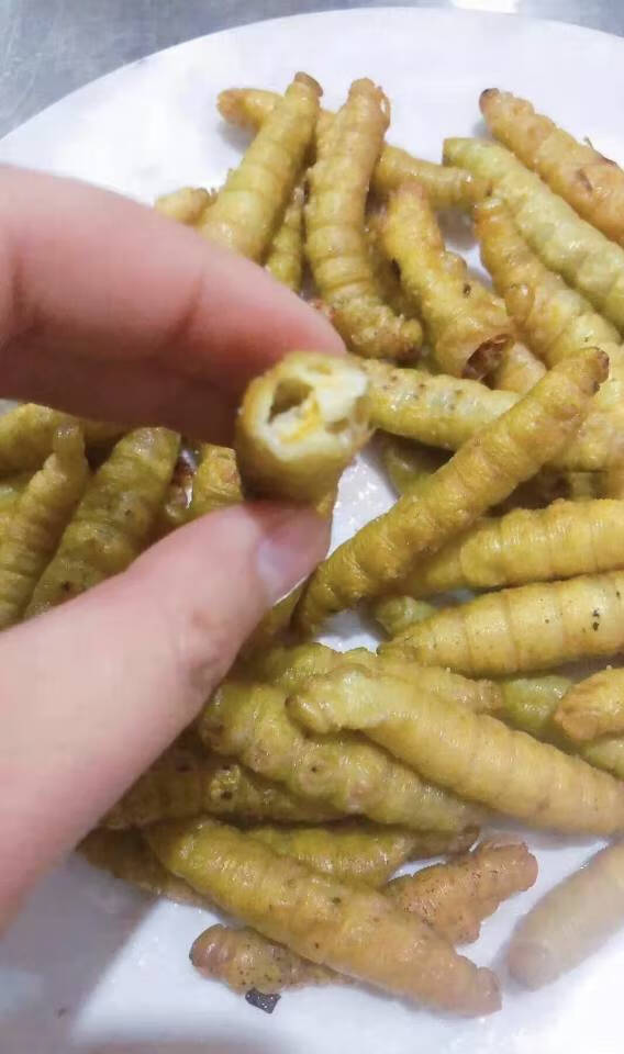 新鲜豆虫野生山东豆虫豆丹豆虫活体豆虫即食炸豆虫活豆虫豆青虫 半斤