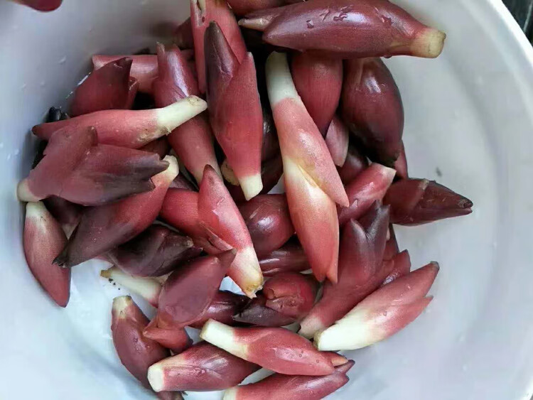 大地果缘 新鲜洋荷姜 阳荷姜5斤野生 洋河阳和姜洋火阳藿盐荷洋胡姜当