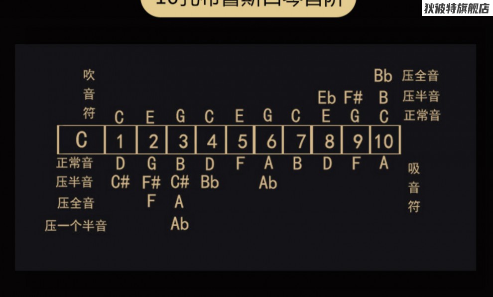 日本進口suzuki鈴木ha-20哈蒙德初學10孔專業演奏藍調布魯斯口琴 #g