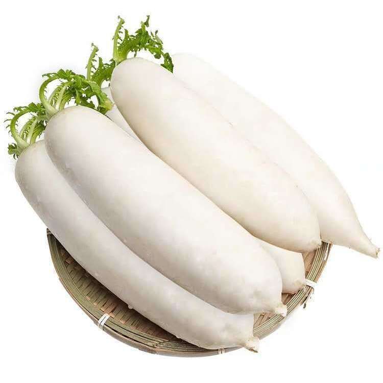 水果白萝卜名萝卜新鲜生吃甜脆超甜罗卜白萝卜新鲜批发价10斤带箱546