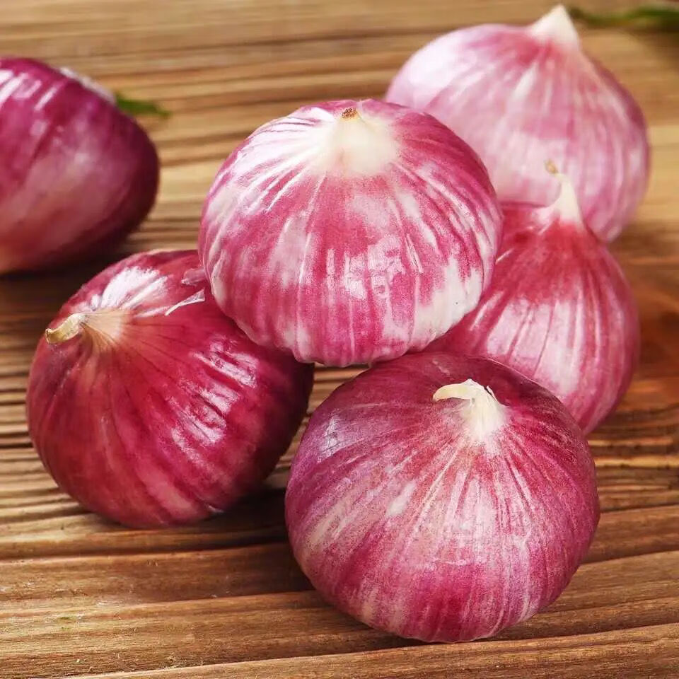 紫皮大蒜干独蒜独头蒜21年带箱农家蒜头香独蒜蔬菜调料 土豪款特大独