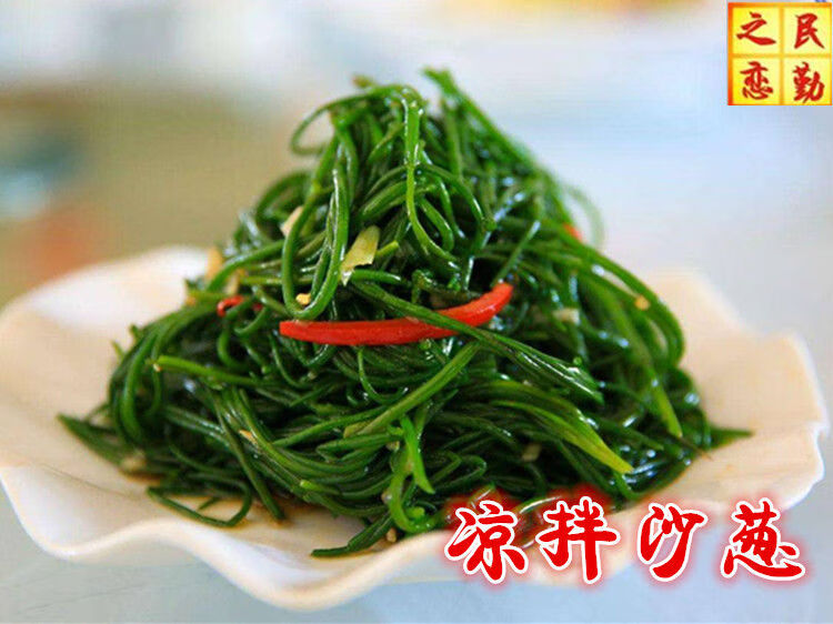 新鲜沙葱餐厅酒店火锅食材西北特色蔬菜饺子馅蒙古韭当天采摘3斤家庭