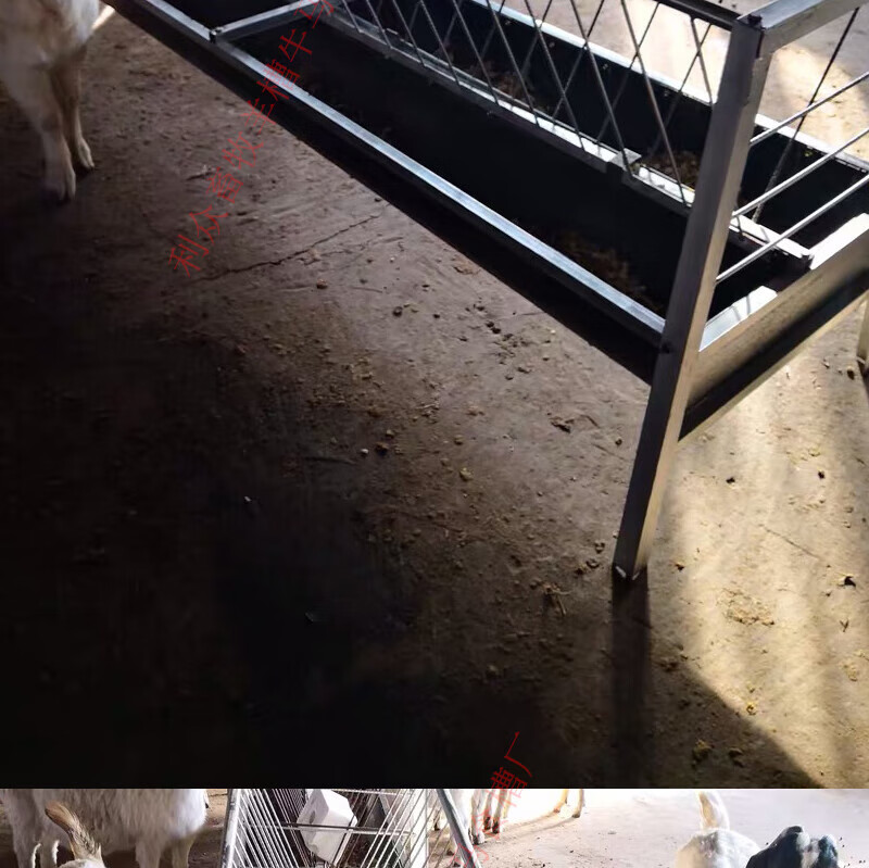新型羊槽食槽养羊料槽子顺丰定制小羊喂草料架子养殖镀锌羊曹 豪华