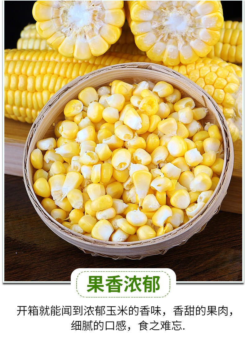 云南金银水果玉米9斤新鲜生吃甜玉米棒子苞谷米现摘糯蔬菜10 9斤