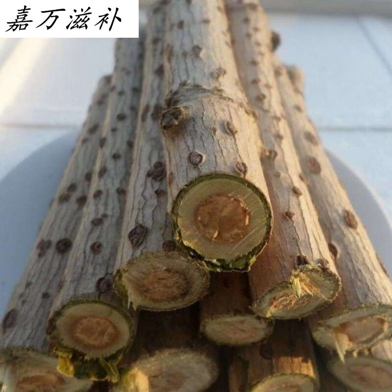 鲜接骨草陆英中八棱麻小接骨丹跌打扭伤官方品质接骨草枝丫条1斤