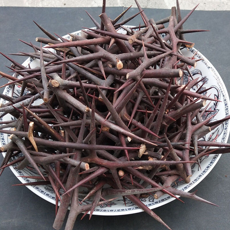 伟博中药材皂刺纯刺野生皂角刺皂荚刺天丁皂刺新货100克全刺500克