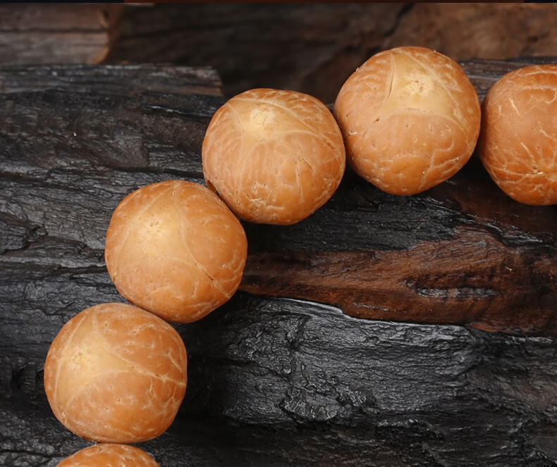 今夕尼泊尔凤眼菩提龙眼菩提手串精挑新籽眼正圆龙凤眼菩提子原籽佛珠