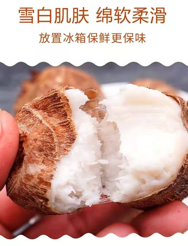 宁波特产奉化芋头溪口香芋非荔浦槟榔芋里山人5斤1020个芋艿子