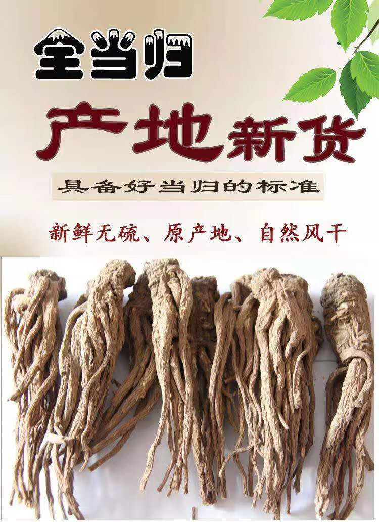特大野当归甘肃岷县特级真野生大当归个无硫野生当归头当归片500克
